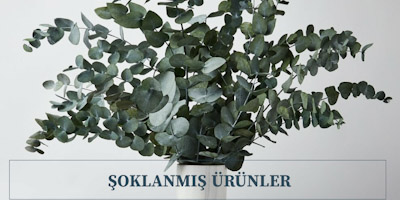 Üçüncü Yan Banner Resmi