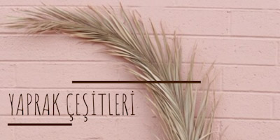 İkinci Yan Banner Resmi